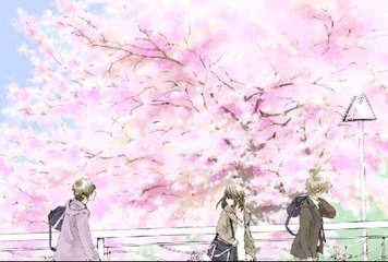 女士中医养生spa诱导